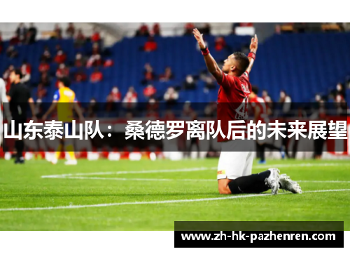 山东泰山队：桑德罗离队后的未来展望