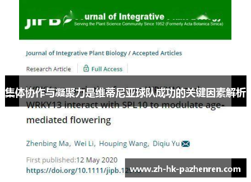 集体协作与凝聚力是维蒂尼亚球队成功的关键因素解析