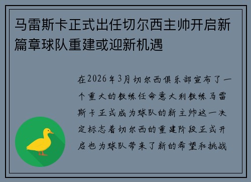 马雷斯卡正式出任切尔西主帅开启新篇章球队重建或迎新机遇